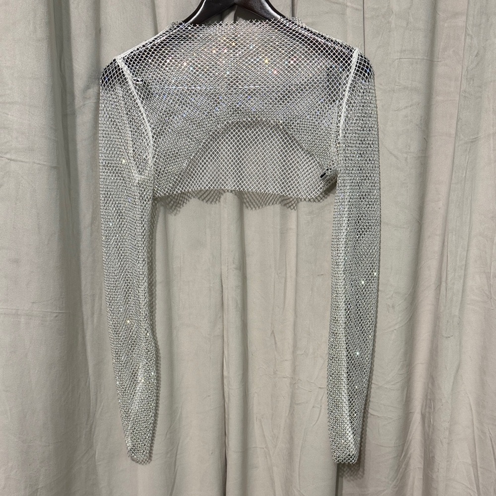 AKIRA Silver Mesh Long Sleeve Crop Top